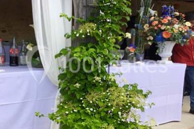 Miniature Location salle Festigny (Yonne) - Ferme Du Bois La Dame #15 Location salle Festigny (Yonne) - Ferme Du Bois La Dame #21