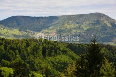 Location salle Orschwiller (Bas-Rhin) - Logis du Haut-Koenigsbourg #22