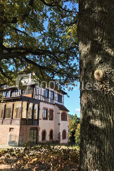 Location salle Orschwiller (Bas-Rhin) - Logis du Hautkoenigsbourg #2