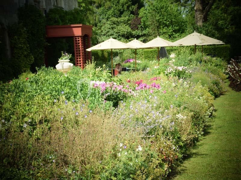 Location salle Clères (Seine-Maritime) - Parc de Clères #10