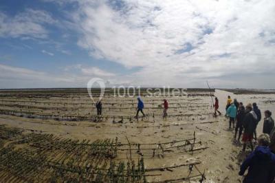 Location salle Châtelaillon-Plage (Charente-Maritime) - Le Carré 26 #23