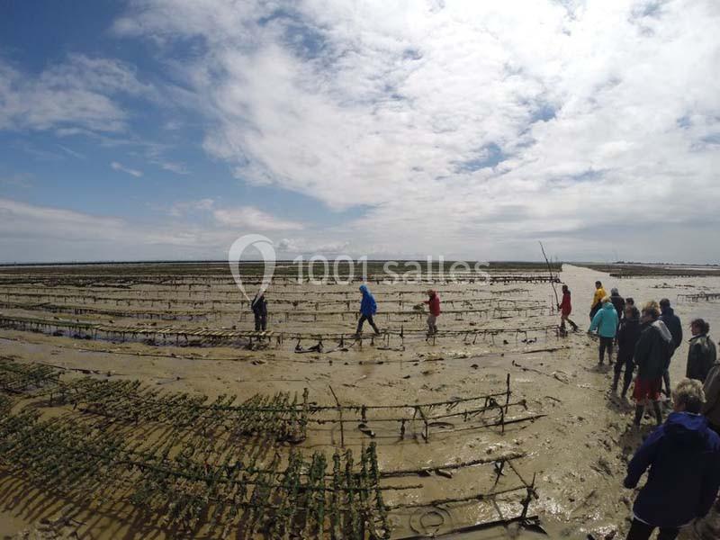 Location salle Châtelaillon-Plage (Charente-Maritime) - Le Carré 26 #18