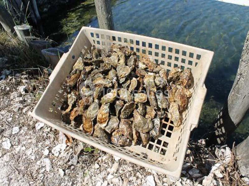 Location salle Châtelaillon-Plage (Charente-Maritime) - Le Carré 26 #19