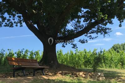 Location salle Chasse-sur-Rhône (Isère) - Le Domaine De Gorneton #32