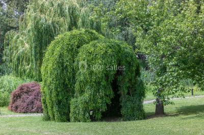 Location salle Chasse-sur-Rhône (Isère) - Le Domaine De Gorneton #32