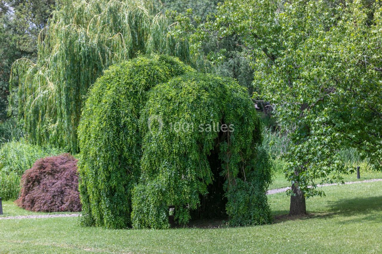 Location salle Chasse-sur-Rhône (Isère) - Le Domaine De Gorneton #29