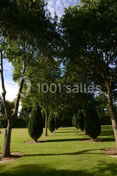 Alignement d'arbres sur une pelouse bien entretenue, sous un ciel partiellement nuageux.