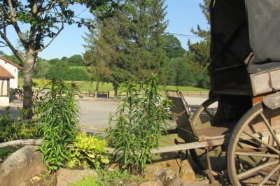 Salle lumineuse avec grandes fenêtres, mobilier en rotin gris et poutres apparentes, donnant sur un espace extérieur…