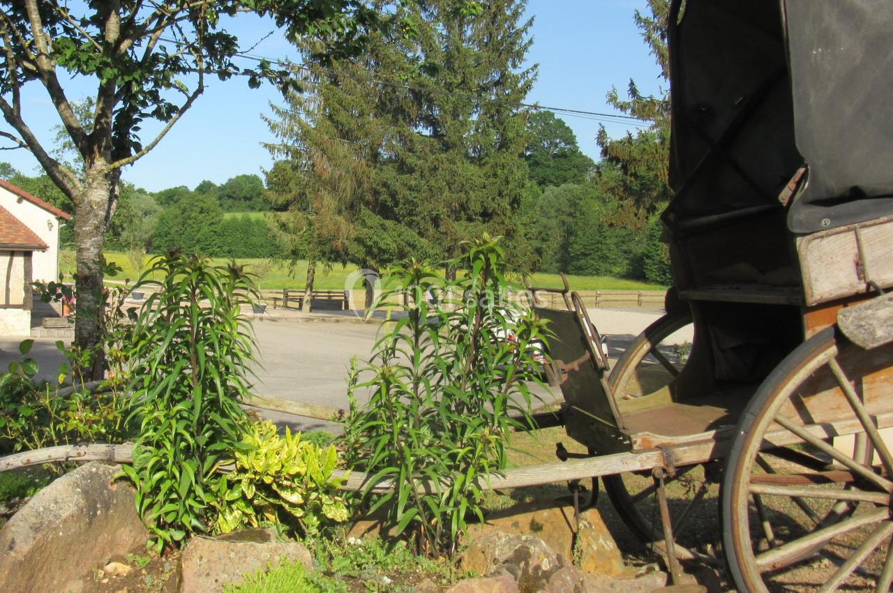 Charrette ancienne en bois partiellement visible, entourée de plantes et de pierres, dans un cadre rural ensoleillé.