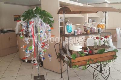 Location salle Carros (Alpes-Maritimes) - Vigneto #22