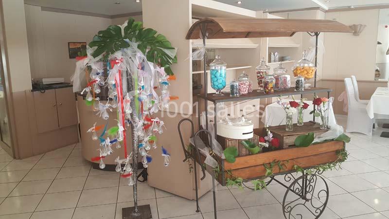 Location salle Carros (Alpes-Maritimes) - Vigneto #8