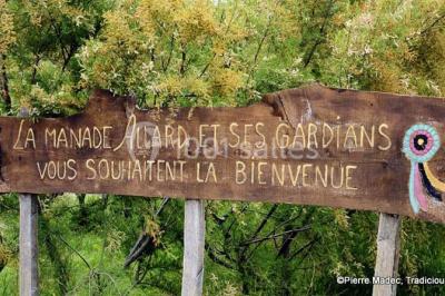 Chemin en gravier bordé de barrières en bois, entouré d'arbres et d'herbe sous un ciel dégagé.
