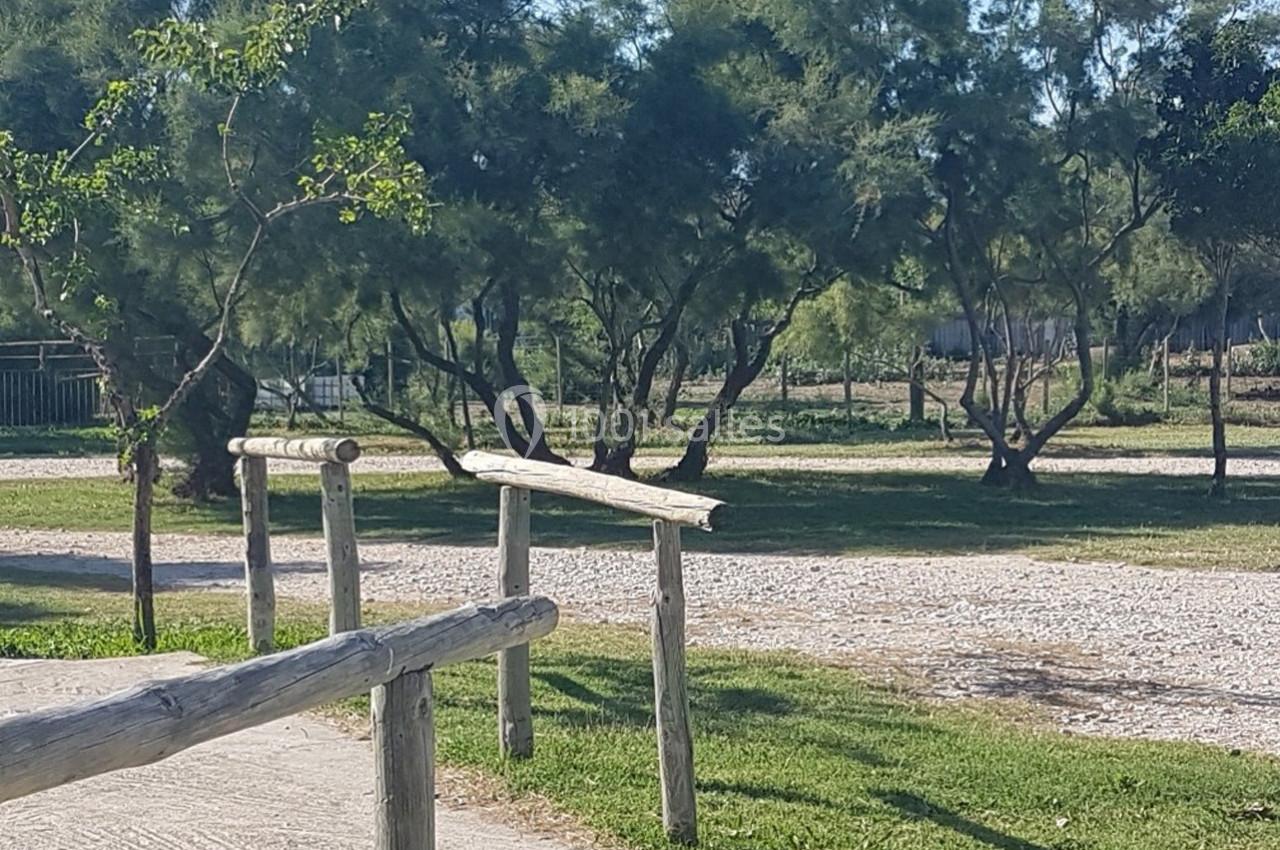Chemin en gravier bordé de barrières en bois, entouré d'arbres et d'herbe sous un ciel dégagé.