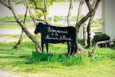 Chemin en gravier bordé de barrières en bois, entouré d'arbres et d'herbe sous un ciel dégagé.