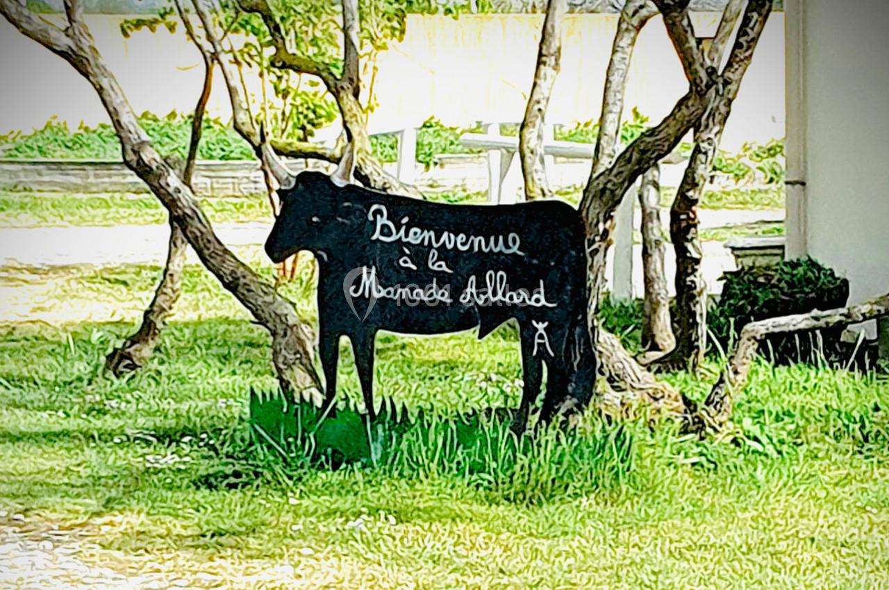 Panneau en forme de vache noire avec l'inscription ’Bienvenue à la Manade Allard’, placé sur une pelouse entre des arbres.