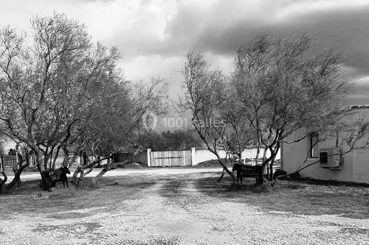 Chemin de gravier bordé d'arbres, menant à une clôture blanche sous un ciel nuageux.