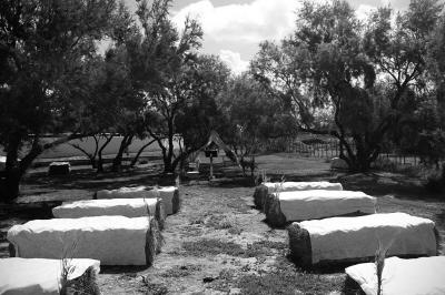 Chemin en gravier bordé de barrières en bois, entouré d'arbres et d'herbe sous un ciel dégagé.