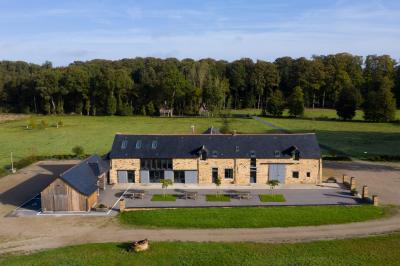 Cabane en bois perchée dans les arbres, entourée de forêt et bordée d'une prairie verdoyante.