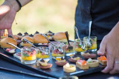 Cabane en bois perchée dans les arbres, entourée de forêt et bordée d'une prairie verdoyante.