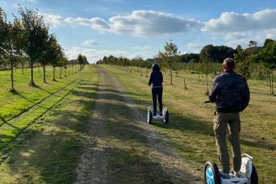 Cabane en bois perchée dans les arbres, entourée de forêt et bordée d'une prairie verdoyante.