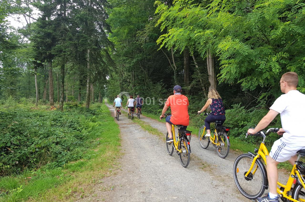 Groupe de personnes faisant du vélo sur un chemin forestier entouré de verdure.