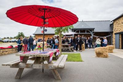 Cabane en bois perchée dans les arbres, entourée de forêt et bordée d'une prairie verdoyante.