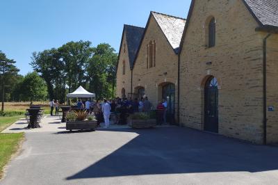 Cabane en bois perchée dans les arbres, entourée de forêt et bordée d'une prairie verdoyante.