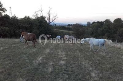 Tables hautes recouvertes de nappes blanches, décorées de bouquets, dans une salle lumineuse avec baies vitrées.