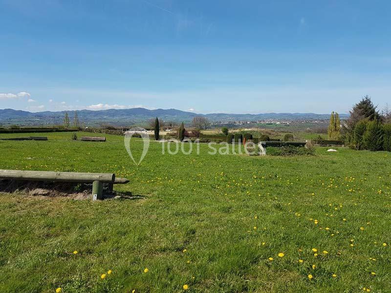 Paysage champêtre avec une prairie verte parsemée de pissenlits, des haies et des collines à l'horizon sous un ciel bleu.