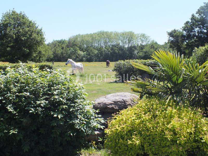 Location salle Le Bignon (Loire-Atlantique) - Chais De L'epinay #7