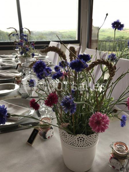 Location salle Brélès (Finistère) - Le Jardin De L'aber #6