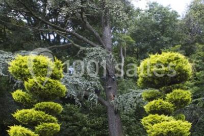 Parking extérieur de nuit, éclairé par des lumières jaunes et entouré d'arbres et de bâtiments.