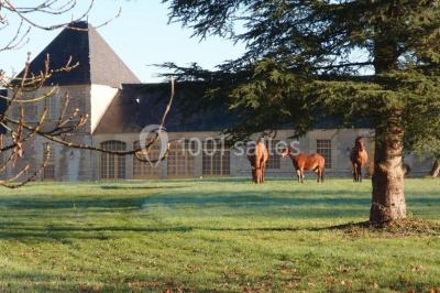 Location salle Urzy (Nièvre) - Château Des Bordes #18