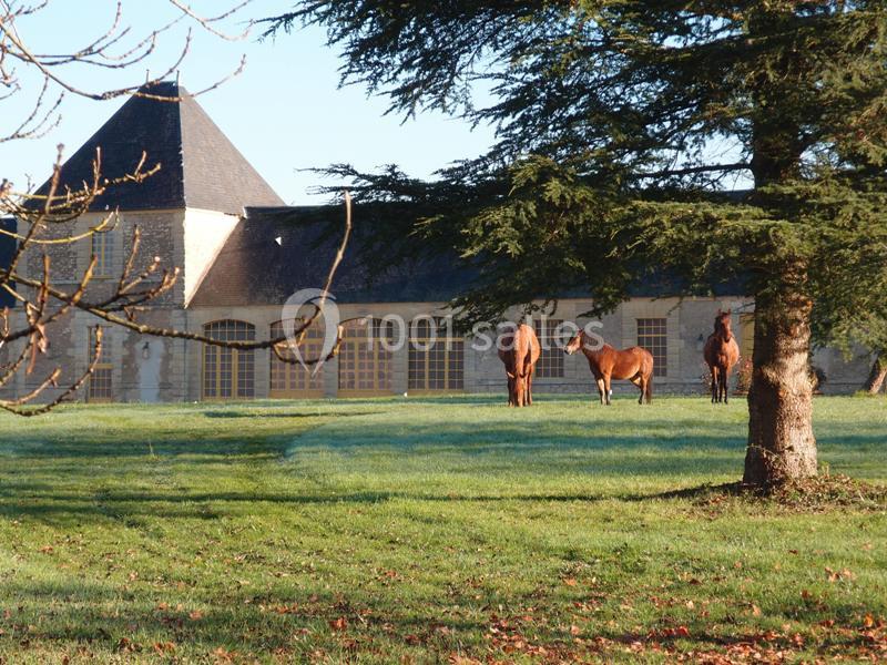Location salle Urzy (Nièvre) - Château Des Bordes #7