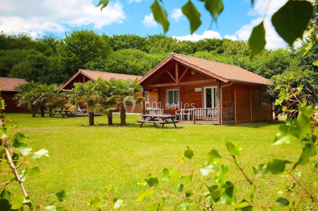 Chalet en bois avec terrasse, entouré de pelouse, palmiers et arbres, sous un ciel partiellement nuageux.