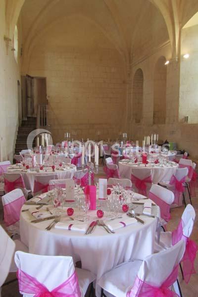 Location salle Trizay (Charente-Maritime) - Abbaye De Trizay #8