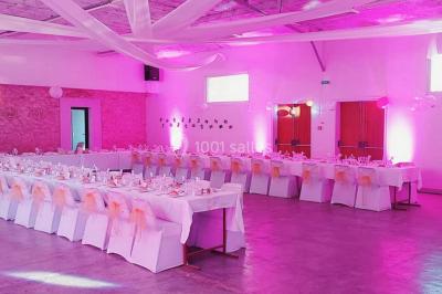 Location salle Créon-d'Armagnac (Landes) - Château Reys #27