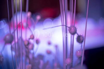 Location salle Villeurbanne (Rhône) - Espace Zola 229 #20