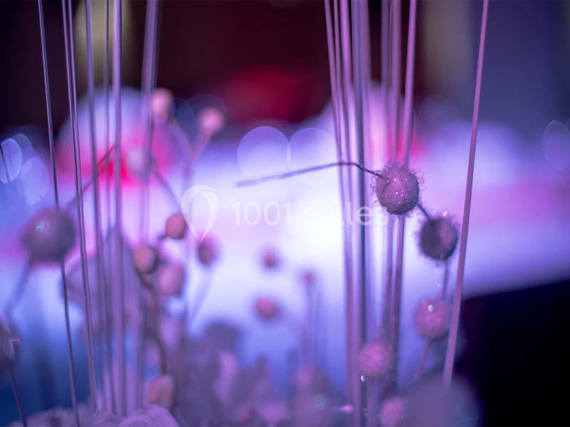 Location salle Villeurbanne (Rhône) - Espace Zola 229 #7