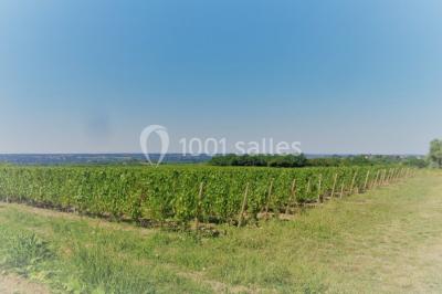 Location salle Rochefort-sur-Loire (Maine-et-Loire) - Salle Millésime #23