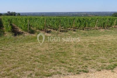 Location salle Rochefort-sur-Loire (Maine-et-Loire) - Salle Millésime #23