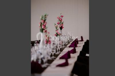 Location salle Rochefort-sur-Loire (Maine-et-Loire) - Salle Millésime #23