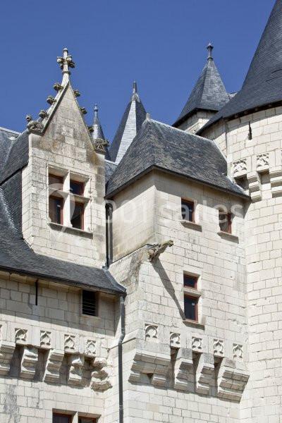 Location salle Seuilly (Indre-et-Loire) - Château Du Coudray Montpensier #17