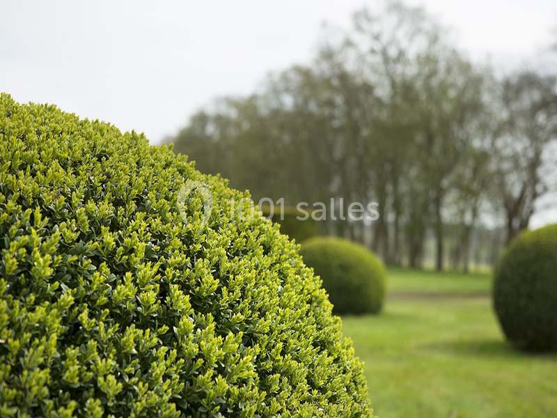 Location salle Saint-Ouen-la-Rouërie (Ille-et-Vilaine) - Château de La Rouërie #14