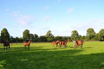 Location salle Saint-Pierre-des-Landes (Mayenne) - Manoir de Coventry #23