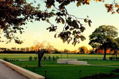 Vue aérienne d'une fête nocturne en extérieur avec éclairages violets, scène musicale et invités rassemblés.