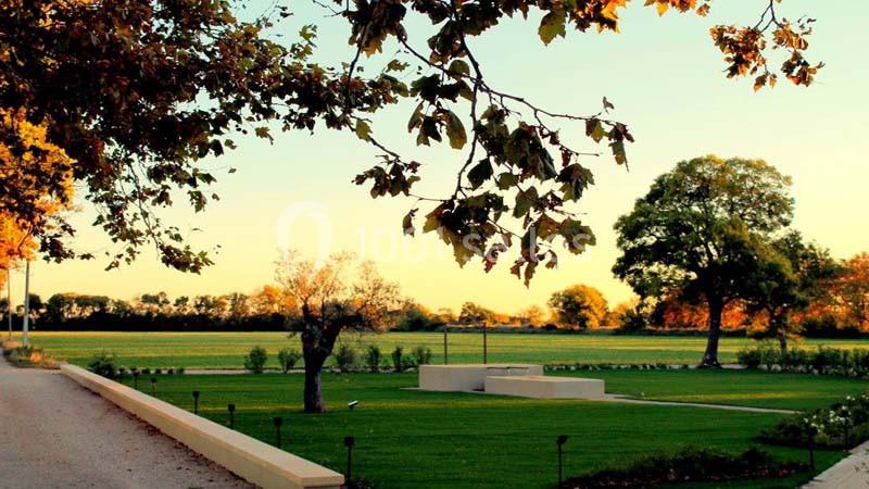 Vue d'un jardin paysager avec pelouse, arbres et allée bordée de feuilles d'automne sous un ciel dégagé.