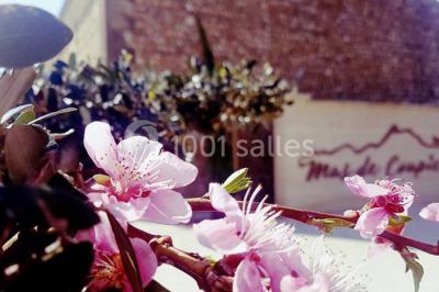 Vue aérienne d'une fête nocturne en extérieur avec éclairages violets, scène musicale et invités rassemblés.