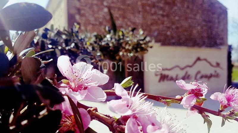 Fleurs roses en gros plan avec un bâtiment en pierre et un panneau ’Mas de Cadenet’ flous en arrière-plan.