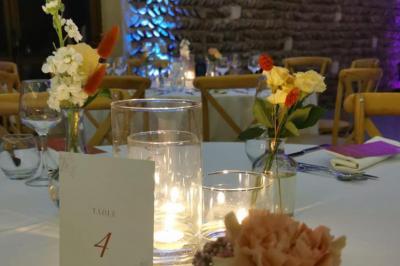 Vue aérienne d'une fête nocturne en extérieur avec éclairages violets, scène musicale et invités rassemblés.